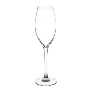 Chef & Sommelier® Grands Cepages Champagne Flute 8 oz - Home Of Coffee