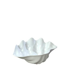 Clam Shell Medium White - Home Of Coffee